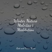 Winter Nature Melodies | Meditation