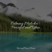 Calming Melodies | Peaceful and Relax