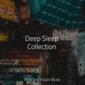 Deep Sleep Collection