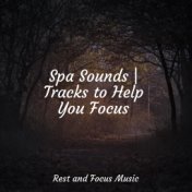 Spa Sounds | Tracks to Help You Focus