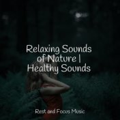Relaxing Sounds of Nature | Healthy Sounds
