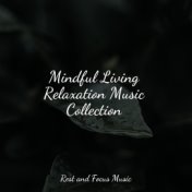 Mindful Living Relaxation Music Collection