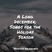 A Long December: Songs for the Holiday Season