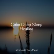 Calm Deep Sleep Healing