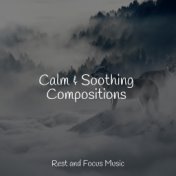 Calm & Soothing Compositions