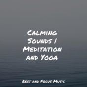 Calming Sounds | Meditation and Yoga