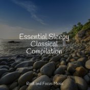 Essential Sleepy Classical Compilation