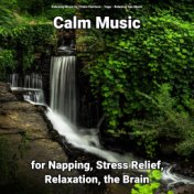 Calm Music for Napping, Stress Relief, Relaxation, the Brain