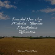 Peaceful New Age Melodies | Ultimate Mindfulness Relaxation