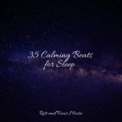 35 Calming Beats for Sleep