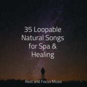 35 Loopable Natural Songs for Spa & Healing