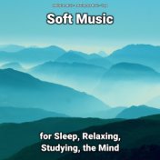 Soft Music for Sleep, Relaxing, Studying, the Mind