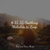 #35 35 Soothing Melodies to Loop