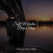 Soft Melodies | Deep Sleep