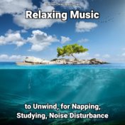 Relaxing Music to Unwind, for Napping, Studying, Noise Disturbance