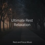 Ultimate Rest Relaxation