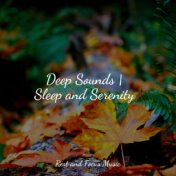 Deep Sounds | Sleep and Serenity