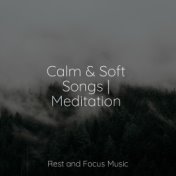 Calm & Soft Songs | Meditation