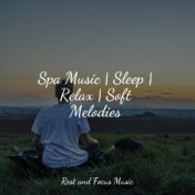 Spa Music | Sleep | Relax | Soft Melodies