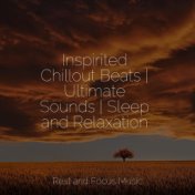 Inspirited Chillout Beats | Ultimate Sounds | Sleep and Relaxation