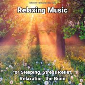 Relaxing Music for Sleeping, Stress Relief, Relaxation, the Brain