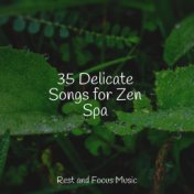 35 Delicate Songs for Zen Spa