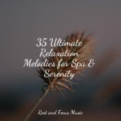 NUM Ultimate Relaxation Melodies for Spa & Serenity