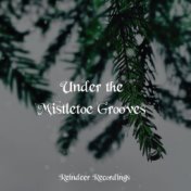 Under the Mistletoe Grooves