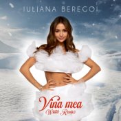 Vina mea (Winter Remix)