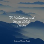 35 Meditation and Stress Relief Tracks