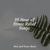 35 Hour of Stress Relief Songs
