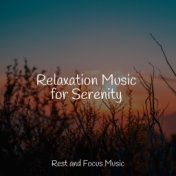 Relaxation Music for Serenity