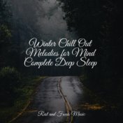 Winter Chill Out Melodies for Mind Complete Deep Sleep