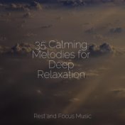 35 Calming Melodies for Deep Relaxation