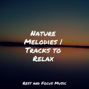 Nature Melodies | Tracks to Relax