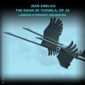 Jean Sibelius: The Swan of Tuonela, Op. 22