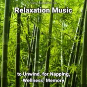 Relaxation Music to Unwind, for Napping, Wellness, Memory