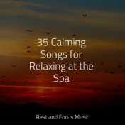 35 Calming Songs for Relaxing at the Spa