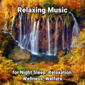 Relaxing Music for Night Sleep, Relaxation, Wellness, Welfare