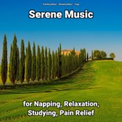 Serene Music for Napping, Relaxation, Studying, Pain Relief