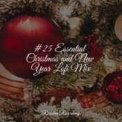 #25 Essential Christmas and New Year Lofi Mix