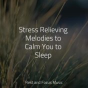 Stress Relieving Melodies to Calm You to Sleep