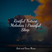 Restful Nature Melodies | Peaceful Sleep