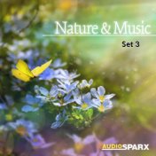 Nature & Music, Set 3