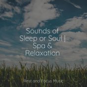 Sounds of Sleep or Soul | Spa & Relaxation