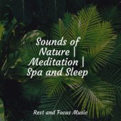 Sounds of Nature | Meditation | Spa and Sleep