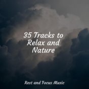 35 Tracks to Relax and Nature