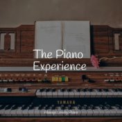 The Piano Experience