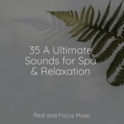 35 A Ultimate Sounds for Spa & Relaxation