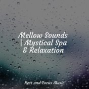 Mellow Sounds | Mystical Spa & Relaxation